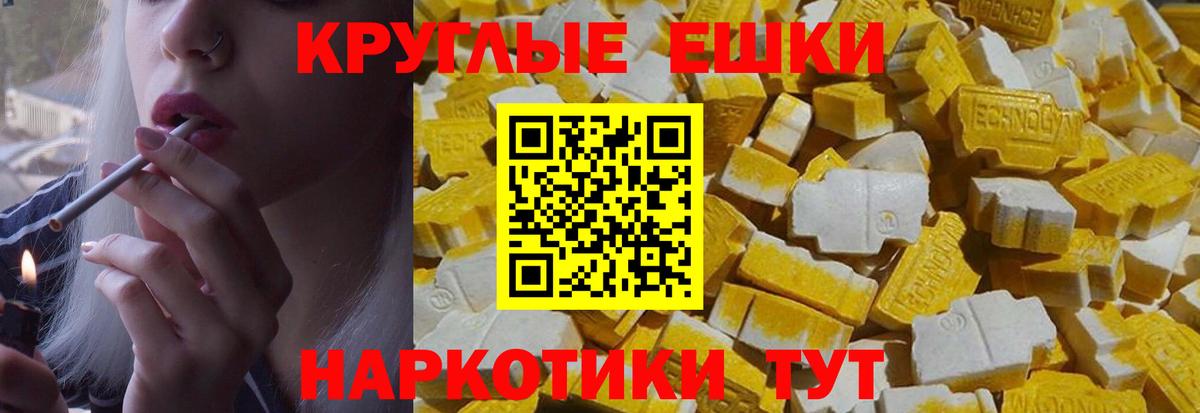 Экстази Philipp Plein  Вход с VPN  ЭКСТАЗИ XTC  Лесной 