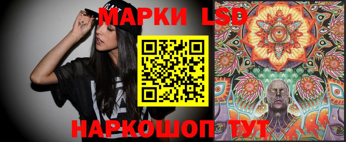 Наркотические марки 1500мкг  Вход с VPN  Марки NBOMe  Лесной 