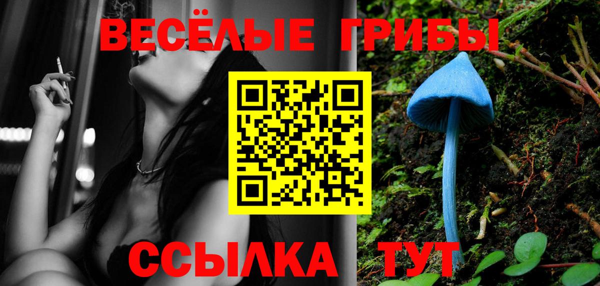 Галлюциногенные грибы ЛСД Лесной